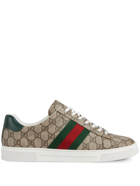 Gucci tenis Ace Web