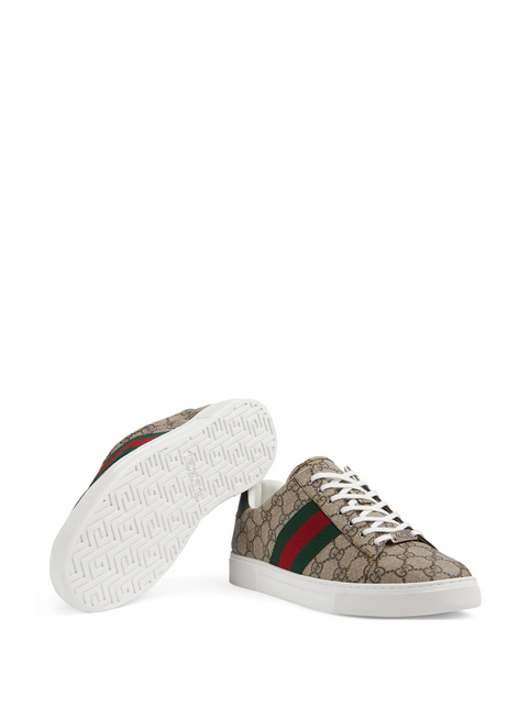 Gucci tenis Ace Web
