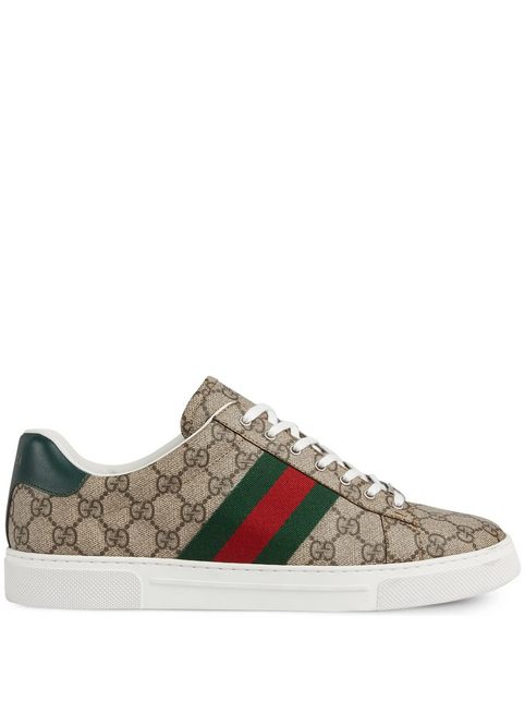 Gucci  tenis Ace Web