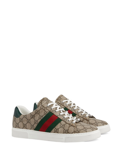 Gucci  tenis Ace Web