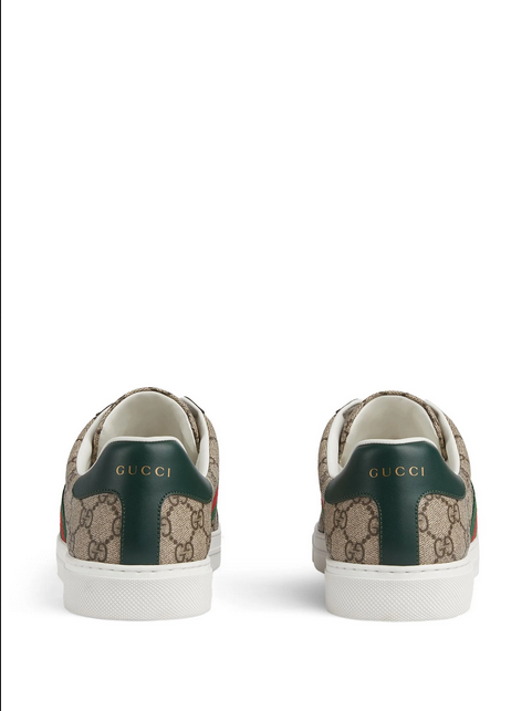 Gucci  tenis Ace Web