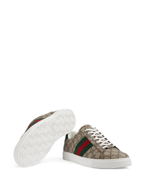 Gucci  tenis Ace Web